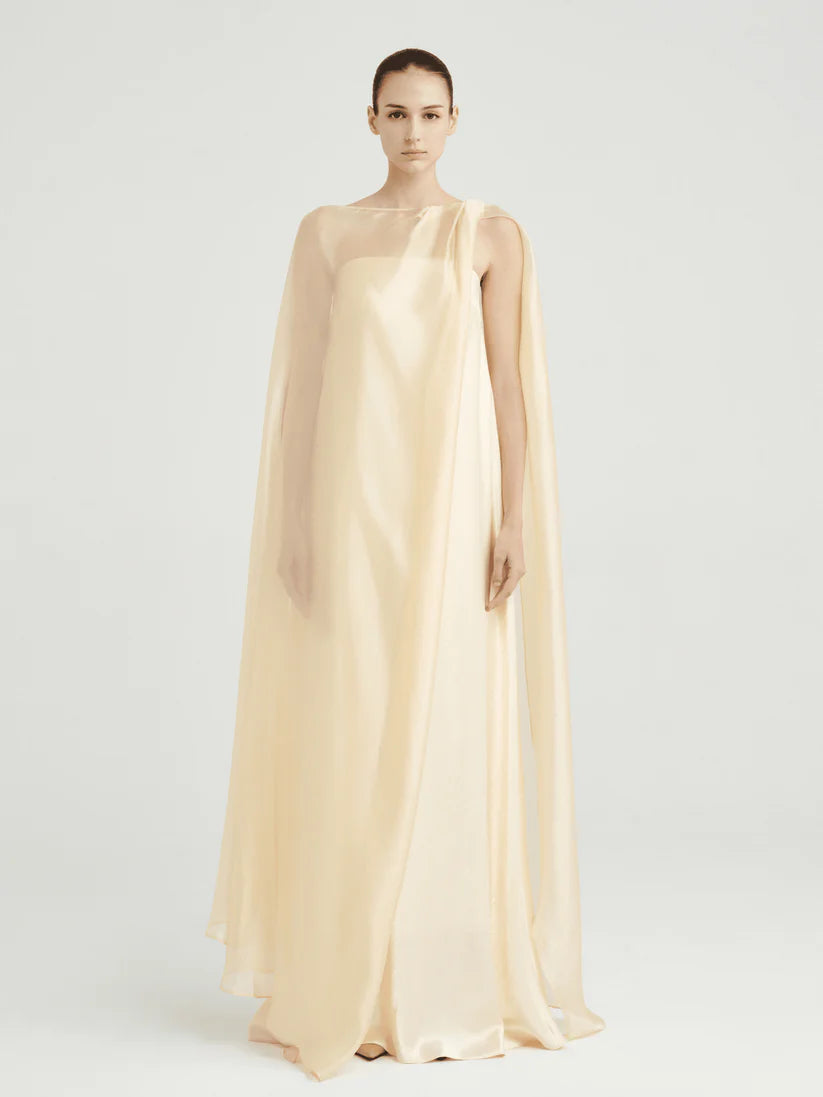 Strapless Satin Maxi Dress with Sheer Cape Overlay image drigital
